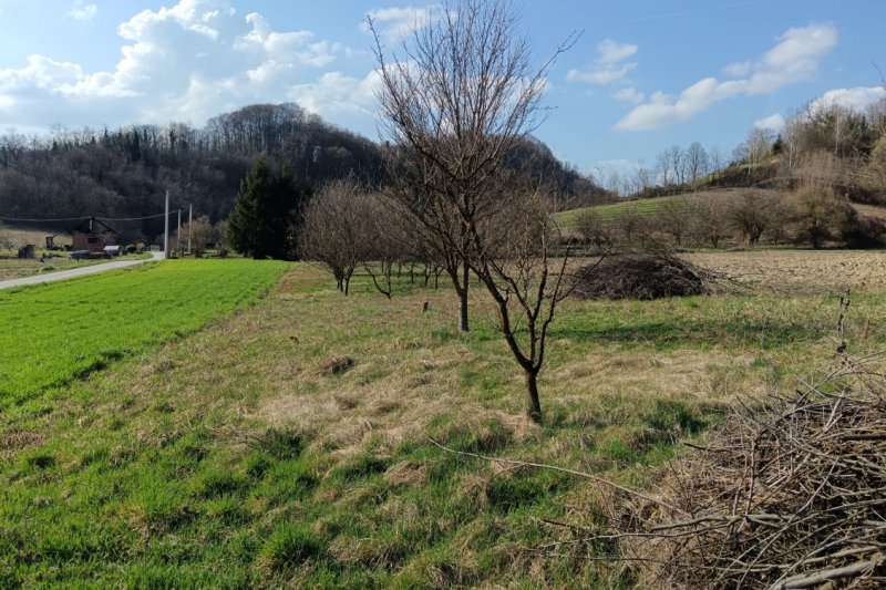 --%--place-alt-for-e_0000006-here--%--