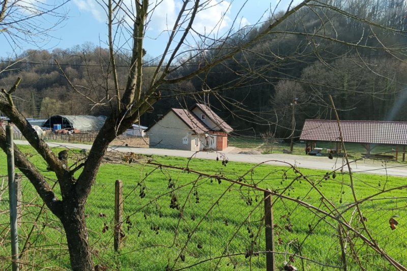 --%--place-alt-for-e_0000006-here--%--