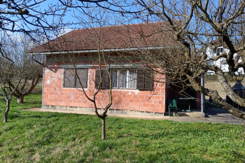 --%--place-alt-for-e_0000006-here--%--