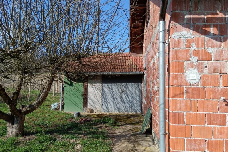 --%--place-alt-for-e_0000006-here--%--